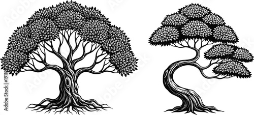 Decorative bonsai and stylized tree illustration set, detailed black and white nature design, artistic botanical elements, elegant vector artwork collection