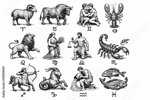 Full Set of 12 Zodiac Astrological Signs Engravings with Symbols. Vintage Horoscope Collection Illustration.