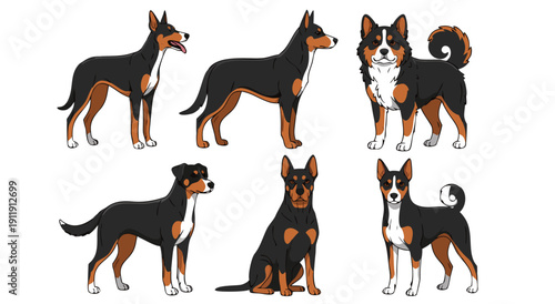 Collection of diverse dog breed vector illustrations for various graphic design projects, including purebred and mixed breeds, 8
