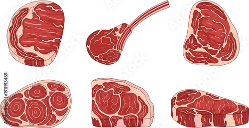 Raw steak cuts illustration set. Fresh marbled beef with bone and rib sections. Detailed butcher style meat drawings isolated for restaurant menu and cooking design.