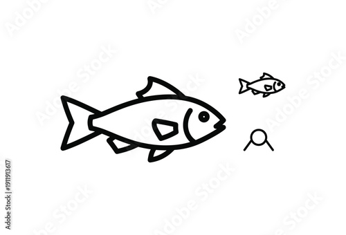  fish illustration with magnifying glass