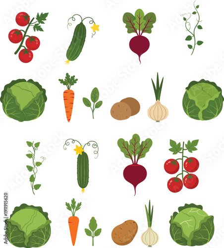 Fresh Organic Vegetable Collection Featuring Tomatoes Cucumbers Carrots Potatoes Cabbage Beetroot and Onions for Garden Harvest Vector 