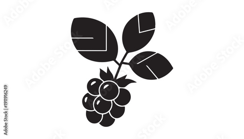 black color Boysenberry fruits of silhouette vector illustration, solid white background