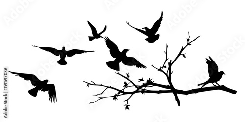 A flock of birds perched on a bare tree branch against a white background Vector