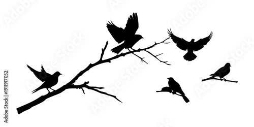 Silhouettes of birds perched and flying from a single branch against a white background Vector