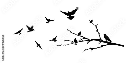 Silhouettes of birds perched and flying against a white background Vector