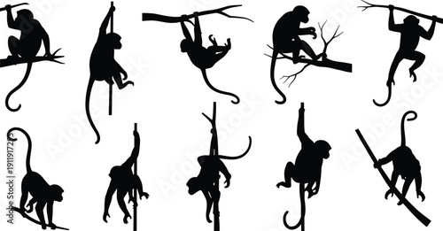 Collection of monkey silhouettes in various climbing and hanging poses isolated on light background, wildlife vector illustration set representing jungle animals, primates and tropical forest life
