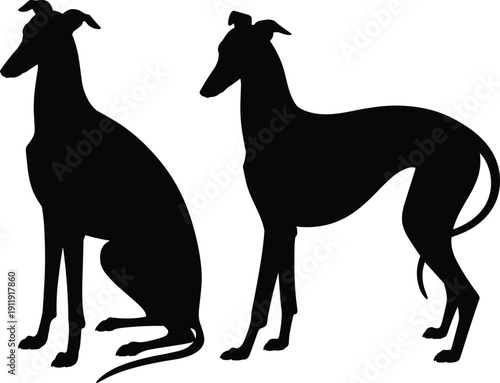 Cuadro en lienzo Two greyhound silhouettes, one sitting and one standing, isolated on white background, showcasing sleek and slender build, ideal for dog, pet, and design concepts
