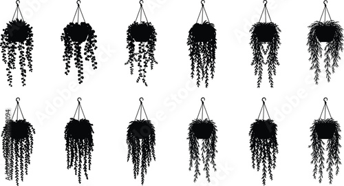 Vector set of black hanging plant silhouettes, isolated indoor ivy and trailing vine icons for interior design, home decor, gardening, and nature graphics