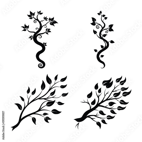 Decorative black leaf branch and vine silhouettes vector illustration set