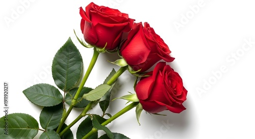 Three red roses with green stems and leaves on white background
