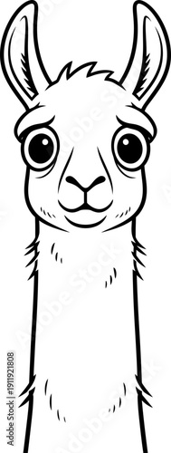 Cute cartoon llama looking ahead with big eyes. Animal or livestock concept. Outline black and white style. Vector illustration for coloring book