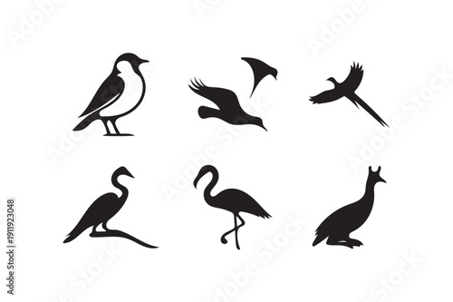 Birds Collection icon on White Background.