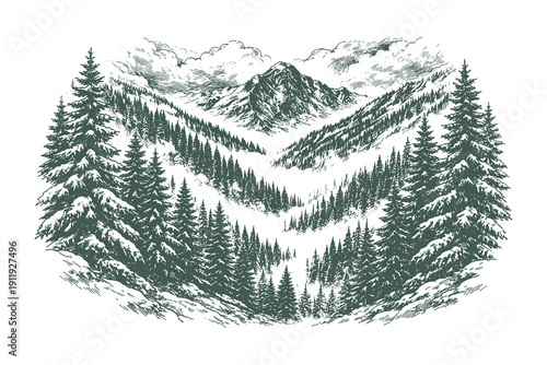 Beautiful engraving vector illustration of a deep V-shaped mountain valley filled with dense pine forests and mist under a distant high peak.