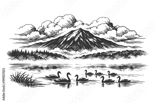 Serene woodcut vector illustration featuring a group of swans swimming on a mountain lake with pine forest silhouettes and high peaks under clouds.