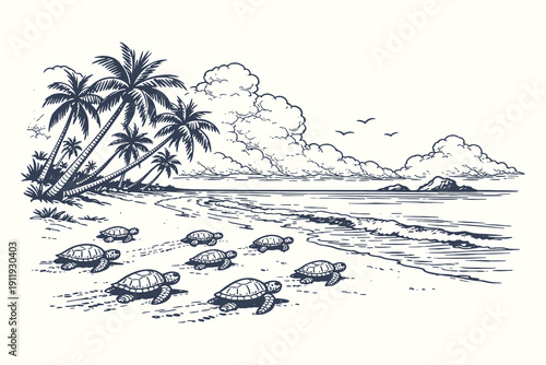 Serene hand drawn line art vector illustration showing a group of sea turtles migrating across a tropical beach toward the ocean with palm trees.