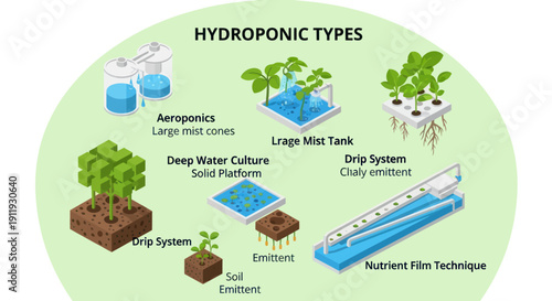 Hydroponic Systems for Soilless Plant Cultivation Methods.