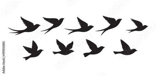Set of black bird silhouettes in flight, isolated on white background. Collection features different wing and tail shapes, flying in the same direction. Minimal flat vector style illustration.