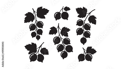 black color Currants fruits set of silhouette vector illustration, solid white background