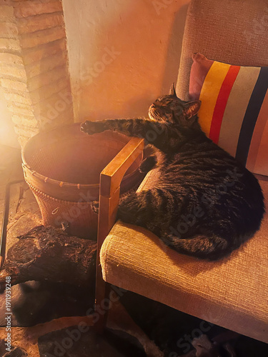 Lazy tabby cat lying on a chair by a wood stove in cozy living room.