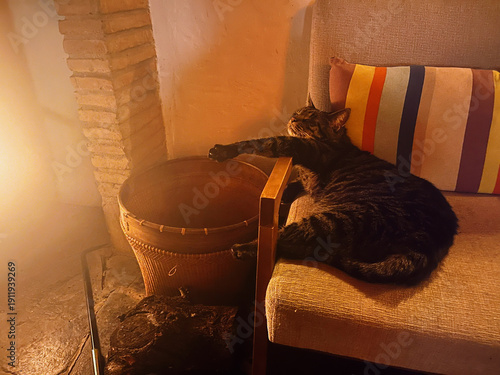 Lazy tabby cat lying on a chair by a wood stove in cozy living room.