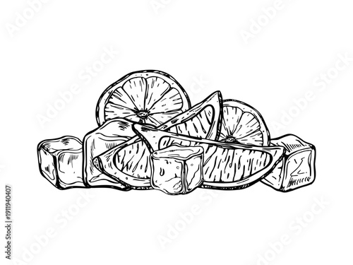 Citrus slices and ice cubes vector illustration painted by black inks. Monochrome lemon or lime pieces for cold water nonalcoholic beverage, tonic etching drawing. For summer drink design