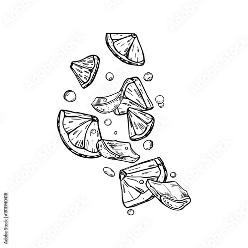 Flying lemon and aloe slices, droplets vector monochrome black and white illustration. Dynamic citrus fruit, aloe plant with juice drops etching drawing for cosmetic packaging, beauty product