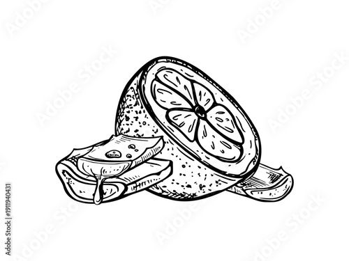 Aloe vera sliced leaf with dripping gel and halved lemon vector isolated illustration painted by black inks. Organic fresh succulent slices, citrus fruit etching drawing. For beauty, treatment concept
