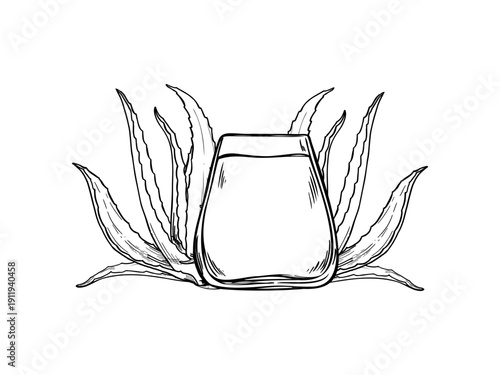 Vector aloe vera juice in glass line art black ink sketch. Monochrome healing plant, homemade detox drink illustration for healthy beverage packaging, cosmetic, spa product design.