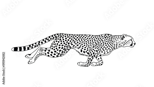Dynamic black and white line art of a cheetah in full sprint, capturing the powerful motion and distinctive spotted pattern of the cat.