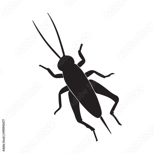 Cricket Silhouette Top View Vector Insect Illustration Isolated