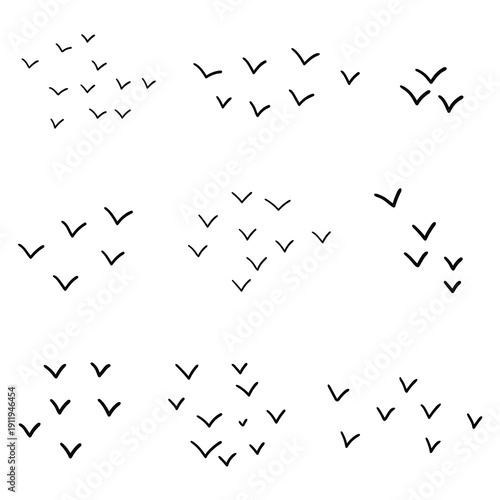 Hand-drawn doodle set of flying birds on a white background.