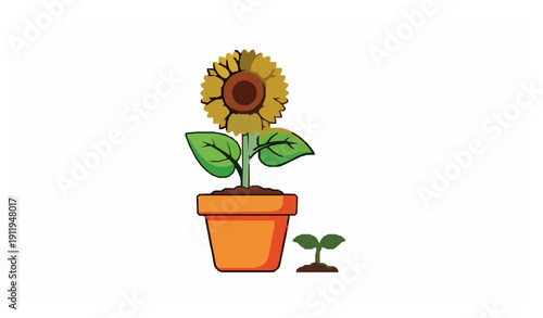 Sunflower cartoon vector set with yellow flowers in pots and seedlings for garden, nursery, and kids illustrations