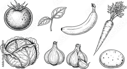 Vintage engraved vector illustration set featuring tomato, banana, carrot, cabbage, garlic, potato, and basil leaf, isolated on a white background.