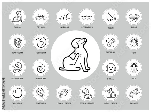 Set of vector icons focuses on cats and dog parasites and worms. The icons are designed to be versatile, suitable for use in informational materials, veterinary goods, pet care, apps, and more. EPS10.
