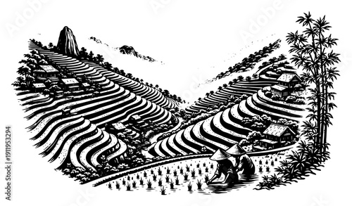 Farmers in conical hats working in lush rice terraces valley vector illustration
