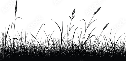 Silhouette of flying birds over tall grass at dusk