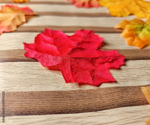 Colorful Autumn Leaves Background Texture
