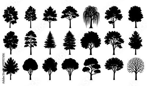 Beautiful Tree Silhouette Vector Set with Diverse Forest Trees Collection Isolated on White Background