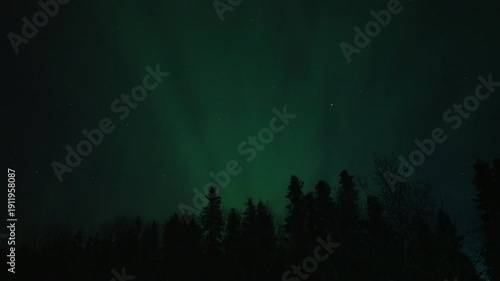Wallpaper Mural Real-time footage of aurora borealis northern lights in Fairbanks, Alaska USA Torontodigital.ca