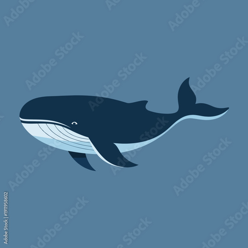 A simple illustration of a blue whale on a blue background.