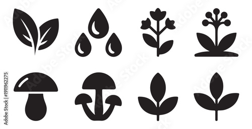 Botanical silhouettes featuring wild mushrooms foliage and floral stems for eco friendly brand design