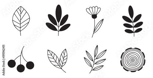 Minimalist nature set including simple leaves, flowers, berries, and tree trunk cross-section design