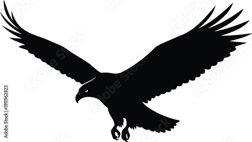 “Silhouette of eagle hawk in flight with extended wings and talons symbolizing strength, freedom, power, wilderness, and predatory nature”