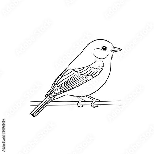 bird, songbird, nature, wildlife, animal, avian, perched, feather, wing, beak, tail, illustration, outline, lineart, sketch, drawing, minimal, simple, natural, forest, garden, spring, cute, peaceful, 
