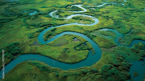 Wallpaper Mural Aerial view of a winding river meandering through a vibrant green landscape with lush vegetation and small water bodies Torontodigital.ca