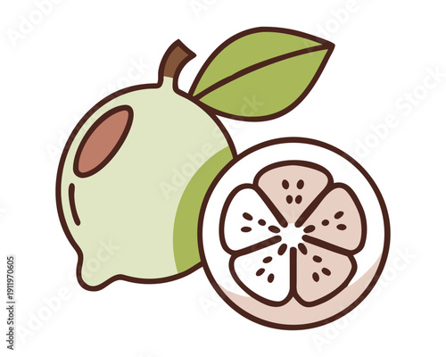 Custard apple fruit illustration sliced tropical