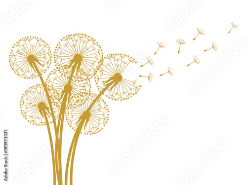 Dandelions with seeds blowing in wind on clear background vector illustration