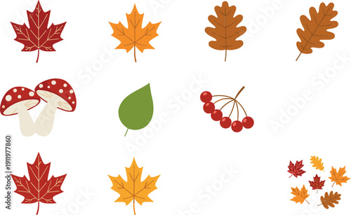 Horizontal set of autumn leaves, mushrooms, and rowan berries in flat vector style for seasonal patterns