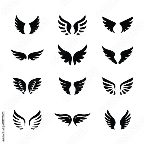Angel Wing Silhouette Icon Set  Bird Wings, Flying Feather Wing Shapes Black Vector Collection for Logo, Tattoo, Fantasy and Design Elements.eps10